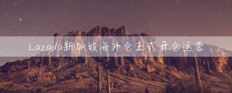 Lazada新加坡海外仓正式开仓运营
