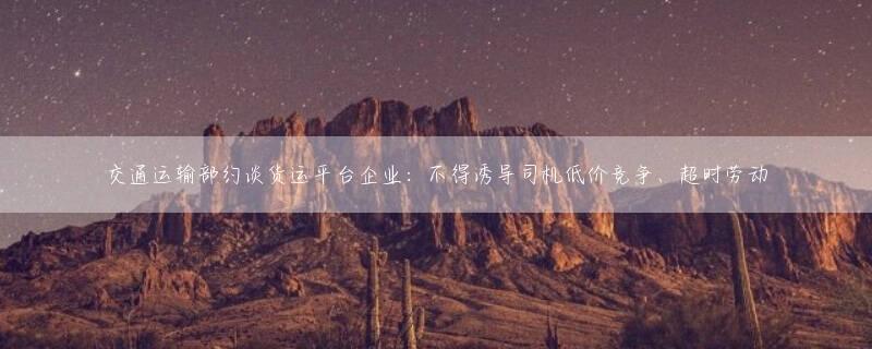 交通运输部约谈货运平台企业：不得诱导司机低价竞争、超时劳动