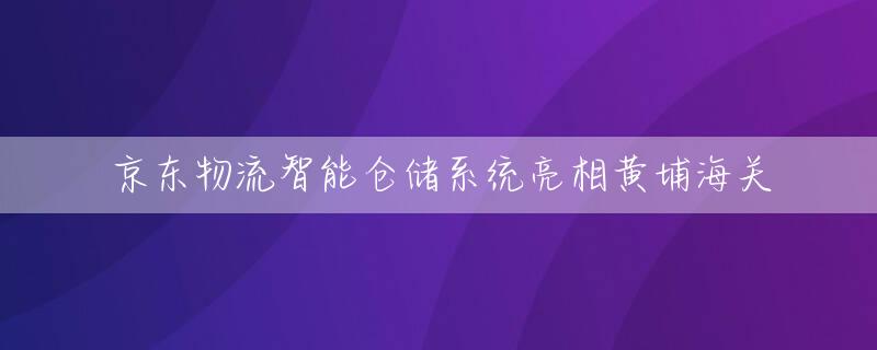京东物流智能仓储系统亮相黄埔海关