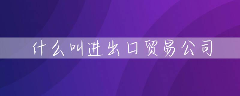 什么叫进出口贸易公司