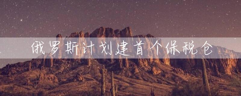 俄罗斯计划建首个保税仓