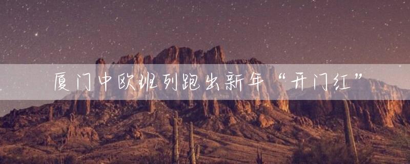 厦门中欧班列跑出新年“开门红”