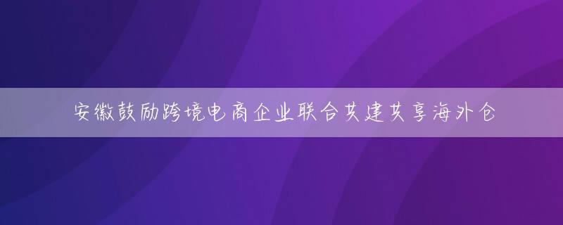 安徽鼓励跨境电商企业联合共建共享海外仓