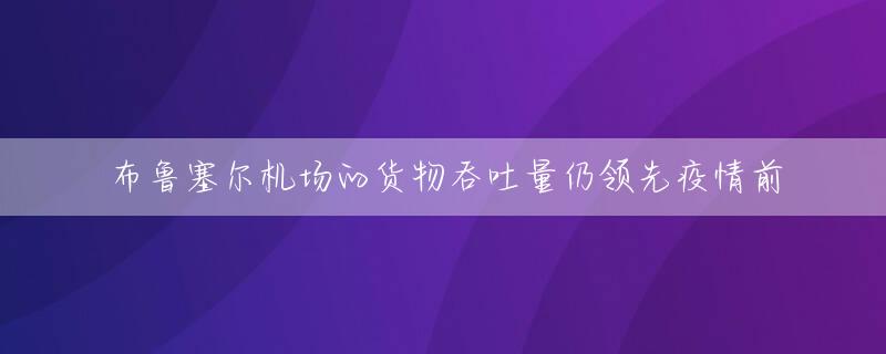 布鲁塞尔机场的货物吞吐量仍领先疫情前