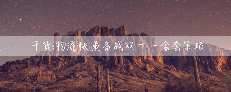 干货:物流快递备战双十一全套策略