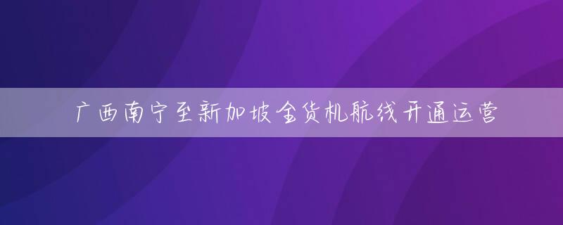 广西南宁至新加坡全货机航线开通运营