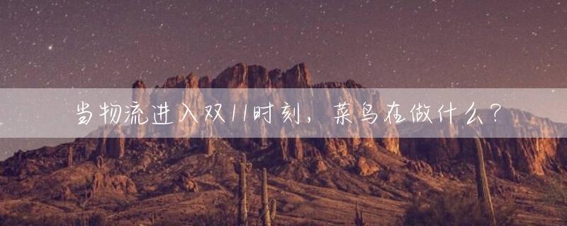 当物流进入双11时刻，菜鸟在做什么？