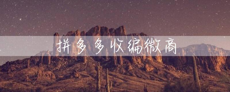 拼多多收编微商