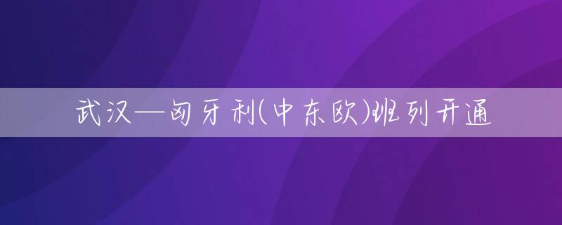 武汉—匈牙利(中东欧)班列开通