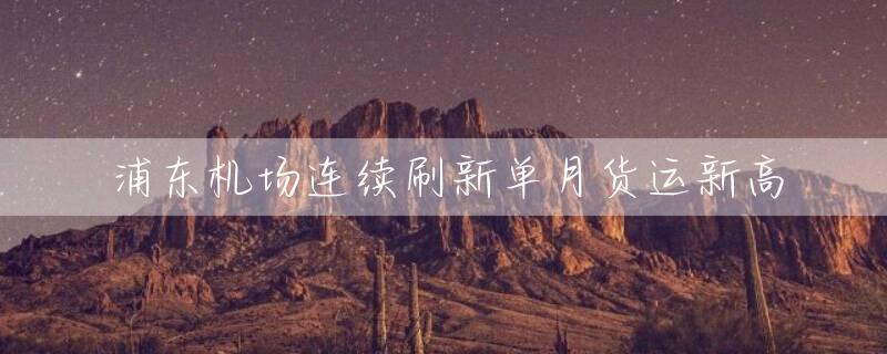 浦东机场连续刷新单月货运新高