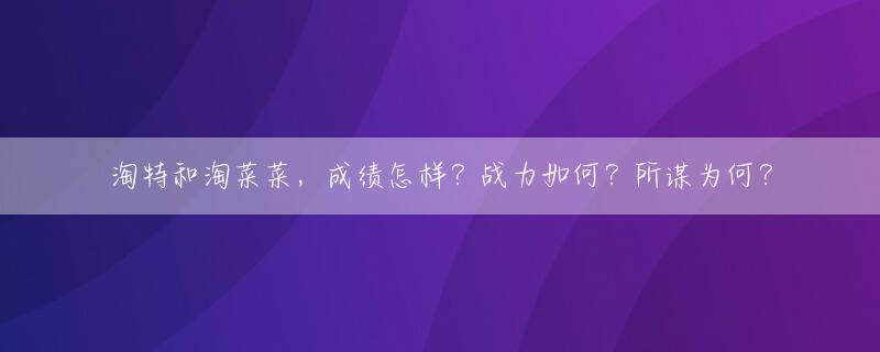 淘特和淘菜菜，成绩怎样？战力如何？所谋为何？
