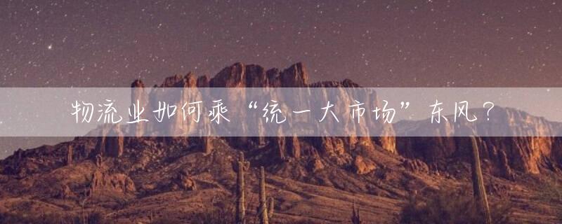 物流业如何乘“统一大市场”东风？
