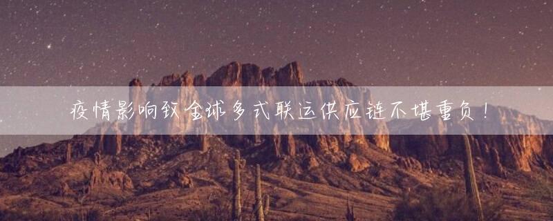 疫情影响致全球多式联运供应链不堪重负！