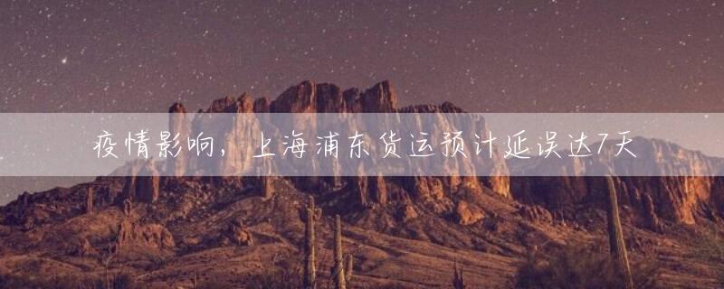 疫情影响，上海浦东货运预计延误达7天