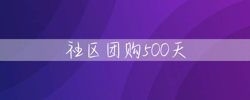社区团购500天
