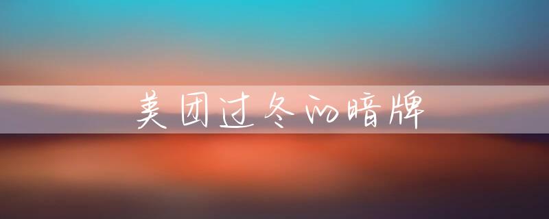 美团过冬的暗牌
