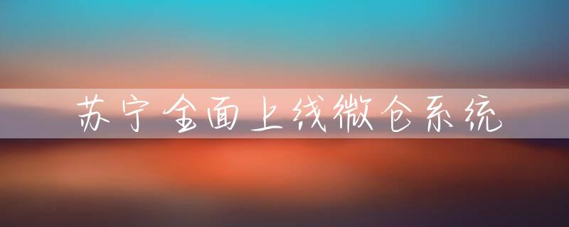 苏宁全面上线微仓系统
