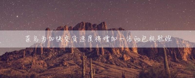 菜鸟为加快交货速度将增加一倍的包机航班