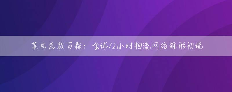 菜鸟总裁万霖：全球72小时物流网络雏形初现