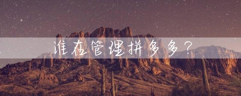 谁在管理拼多多？