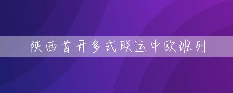 陕西首开多式联运中欧班列
